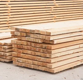 Сибирский кедр