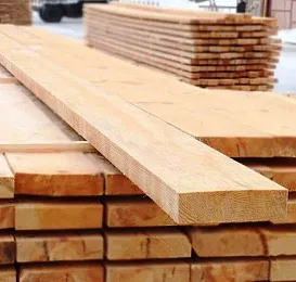 Лиственница сибирская